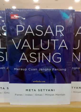 Pasar Valuta Asing - Meruap Cuan Jangka Panjang 